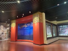 -迪庆藏族自治州博物馆