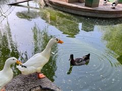 -瑞博尔花园酒店(太周创新产业园店)