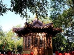 -高尔山公园