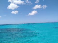 -上海潜殿潜水中心