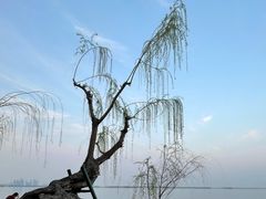 -东湖听涛景区
