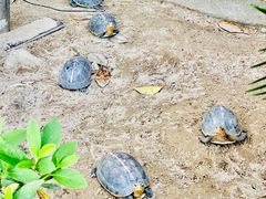 -大可堂普洱茶馆(襄阳南路馆)