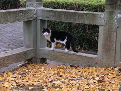 -上海佘山国家森林公园天马山园