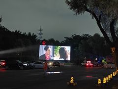 -枫花园汽车电影院(朝阳公园店)