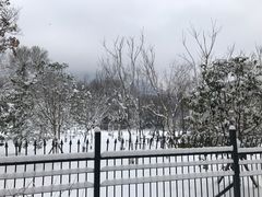 -紫金山山顶公园