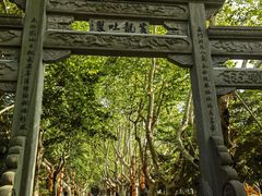 -杭州黄龙洞