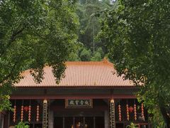 -顺峰山公园