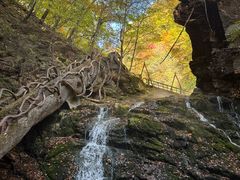 -五女峰国家森林公园