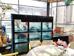 -院8里·小乐园家常味川菜(鹭洲里店)