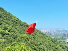 -杭州半山国家森林公园