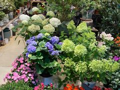 -双季花艺园艺市场(浦东店)