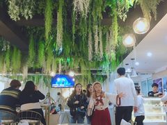 -Husky Go! 哈士奇体验馆·宠物咖啡厅狗咖