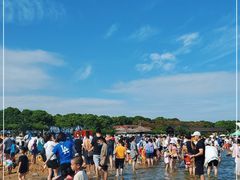 -碧海金沙