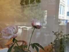-左悦·艾灸调理·推拿按摩·精油SPA(卓悦汇店)