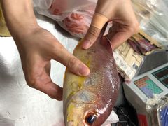 -万龙洲海鲜(大兴绿地缤纷城店)