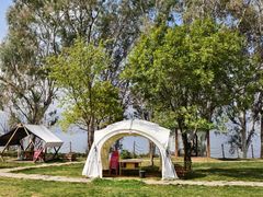 -顺城金记卤鸡·清真