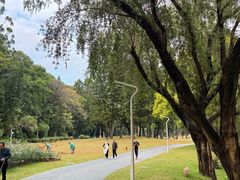 -人民公园(罗湖区)