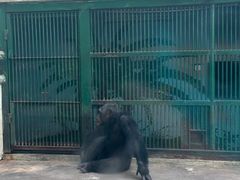 -石家庄市动物园