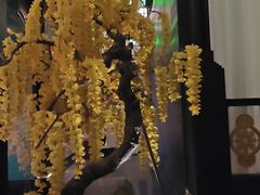 -金链花·泰国餐厅(国贸店)