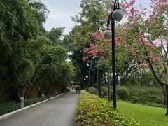 -晓港公园