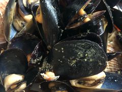 -渔码头食府·20年蓬莱老字号(登州路店)