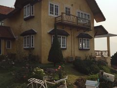 -黄色小屋