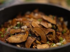 -Hi City·城市之巅