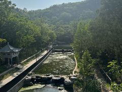 -白水寺森林公园