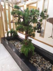 -芳朵美容养生SPA