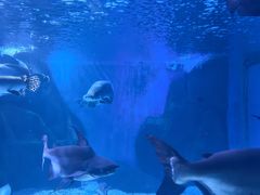 -多彩贵州城极地海洋世界