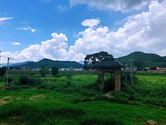 景观位-粤秀古树庄园