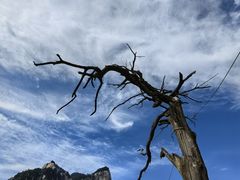 -华山风景名胜区
