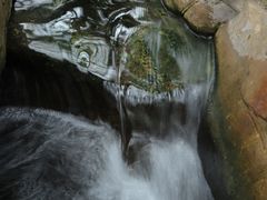 -南山植物园