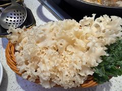 -新辣道鱼火锅(龙旗广场店)