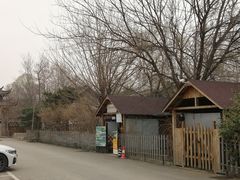 大蒜-尚庄度假村·庭台树下·户外烧烤·团建CS·轰趴营地(上庄水库店)