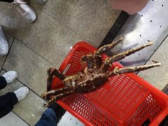 阿拉斯加蟹皇-蚝专家(北滘店)