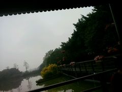 -大湾区中央湿地公园