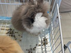 -怪兽屋·羊驼·猫咖·狗咖(俊华广场店)