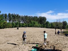 -东郊湿地公园