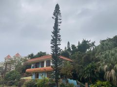 -江门古兜温泉小镇