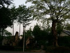 android_upload_pic-永康森林公园