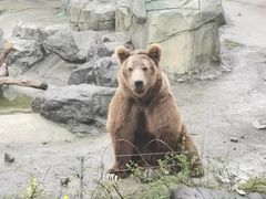 -宁波野生动物园