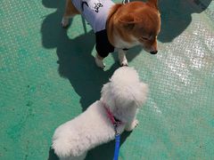 -小鱼草莓采摘园农家乐·小鱼餐厅