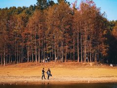 -青龙山国家森林公园