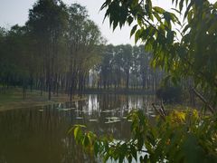-东郊湿地公园