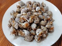 -15年老字号鑫鑫猪肚鸡·椰子鸡海南火锅(兴隆华侨农场店)