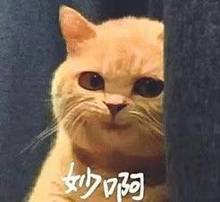 -木子·纹身店TATTOO穿孔·洗纹身