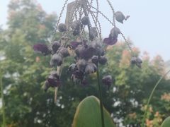 -杭州城北体育公园