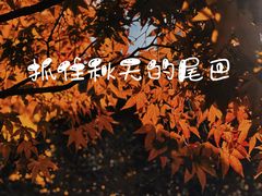-中山公园