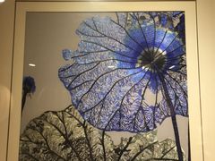 -茶花妹子云南餐厅(北大店)